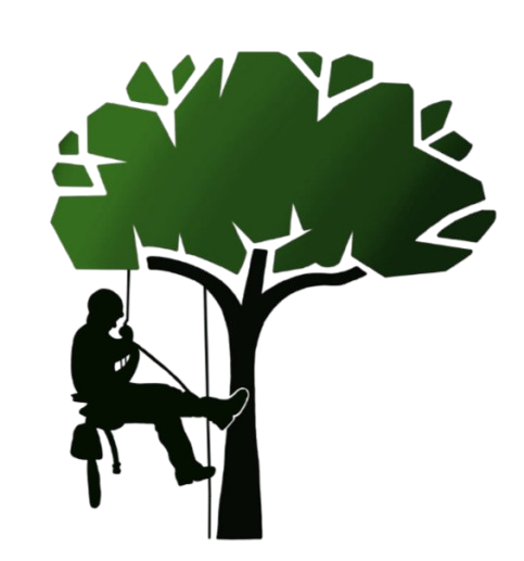 Logo Boomverzorging Senne